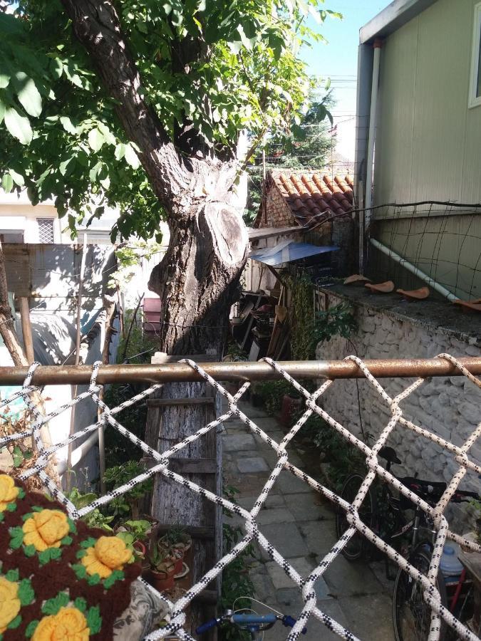 At Home Hostel Κορυτσά Εξωτερικό φωτογραφία